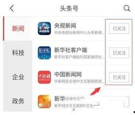头条上互相关注技巧,构建高效互动的社交网络