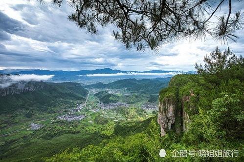 浙江仙居的明星,明星璀璨，星光熠熠的故乡风采